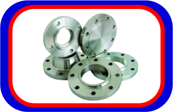 SS flanges